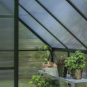 Halls Serre de jardin en polycarbonate Vert 4.9m²
