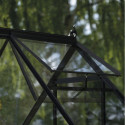 Halls Serre de jardin en verre Noir 4.9m²