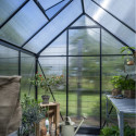 Halls Serre de jardin en polycarbonate Noir 4.9m²