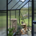Halls Serre de jardin en polycarbonate Noir 4.9m²