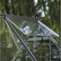 Halls Serre de jardin en verre Gris 6.1m²