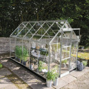 Halls Serre de jardin en verre Gris 6.1m²