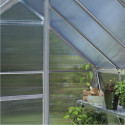 Halls Serre de jardin en polycarbonate Gris 6.1m²