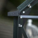 Halls Serre de jardin en verre Vert 6.1m²
