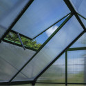Halls Serre de jardin en polycarbonate Noir 6.1m²