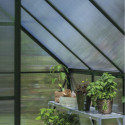 Halls Serre de jardin en polycarbonate Noir 6.1m²