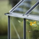 Halls Serre de jardin en verre Gris 8.1m²
