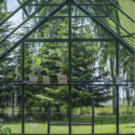 Halls Serre de jardin en verre Vert 9.7m²