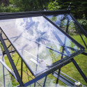 Halls Serre de jardin en verre Noir 9.7m²