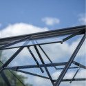 Halls Serre de jardin en verre Noir 9.7m²