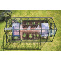 Halls Serre de jardin en verre Vert 11.2m²