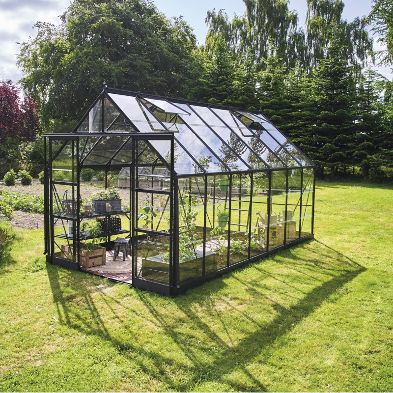 Halls Serre de jardin en verre Noir 11.2m²