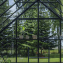 Halls Serre de jardin en verre Noir 11.2m²