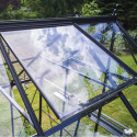 Halls Serre de jardin en verre Noir 11.2m²