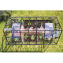 Halls Serre de jardin en verre Noir 11.2m²