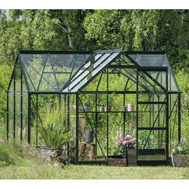 Halls Serre de jardin en verre Vert 8.6m²