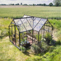 Halls Serre de jardin en verre Noir 8.6m²