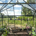 Halls Serre de jardin en verre Noir 8.6m²