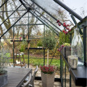 Halls Serre de jardin en verre Vert 13m²