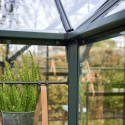 Halls Serre de jardin en verre Vert 13m²