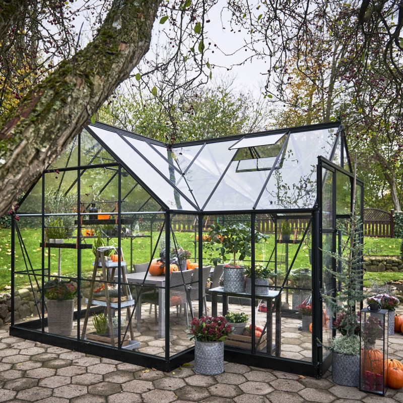 Halls Serre de jardin en verre Noir 13m²