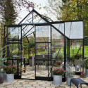 Halls Serre de jardin en verre Noir 13m²