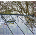 Halls Serre de jardin en verre Noir 13m²