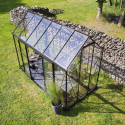 Halls Serre de jardin en verre Noir 7.3m²
