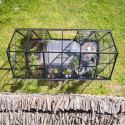 Halls Serre de jardin en verre Noir 7.3m²