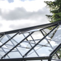 Halls Serre de jardin en verre Noir 7.3m²
