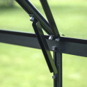Halls Serre de jardin en verre Noir 7.3m²