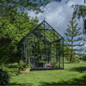 Halls Serre de jardin en verre Vert 9.7m²