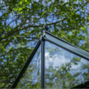 Halls Serre de jardin en verre Vert 9.7m²