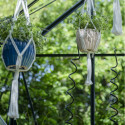 Halls Serre de jardin en verre Vert 9.7m²