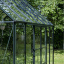 Halls Serre de jardin en verre Vert 9.7m²