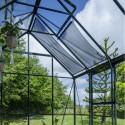 Halls Serre de jardin en verre Vert 9.7m²