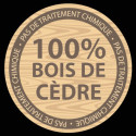Aire de jeux Atlantic en bois imputrescible – Backyard Discovery