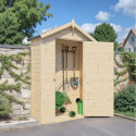 Bertilo Abris de jardin en bois Bois massif Marron