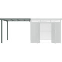X-Metal Appentis Gris Acier galvanisé 8.1m²