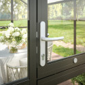 KGT Serre de jardin en verre Gris 5m²