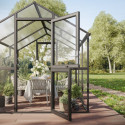 KGT Serre de jardin en verre Gris 10m²