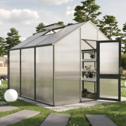 KGT Serre de jardin en polycarbonate Vert 9.6m²