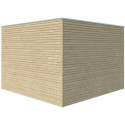 Gardenas Abri de jardin bois 5 à 10 m² Marron Bois massif 9m²