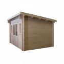 Habrita Abris de jardin en bois Marron Bois massif 9m²
