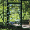 Halls Louvres Vert