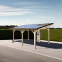 Habrita Carport Marron Bois massif 16m²