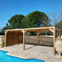 Habrita Tonnelles de jardin Marron Bois massif 21m²
