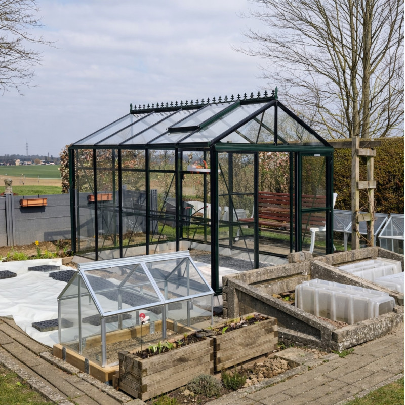 Filclair Serre de jardin en verre Vert 8.44m²