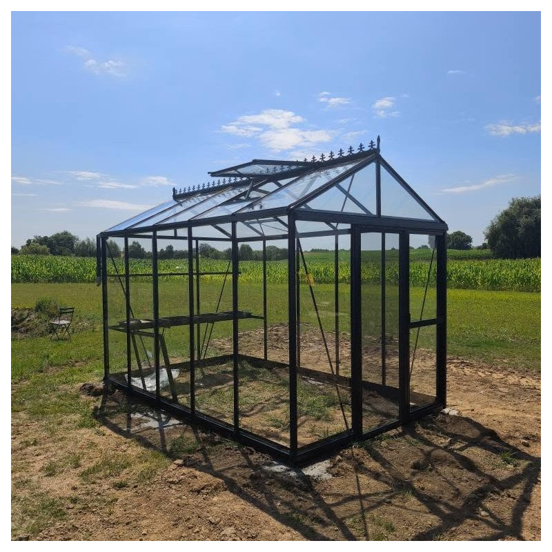 Filclair Serre de jardin en verre Noir 8.44m²