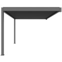 X-Metal Pergolas bioclimatiques Gris Aluminium 9m²